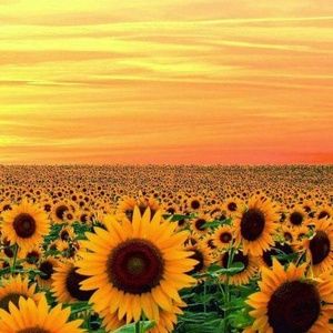 I am always open to 'reasonable' offers.